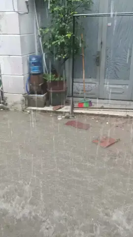 Chiều nay mưa to quá ạ sân nhà ngập nước hết rồi hic! #troimua🌧️🌨️🌨️ #ngapnuoc 