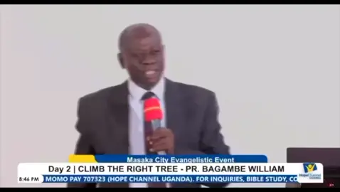climb the right tree