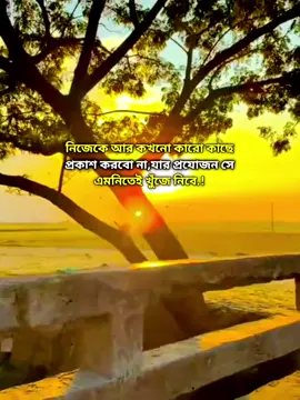 #বাচবো_আর_কতদিন #নামাজ_পরি_প্রোতি_দিন #fypシ゚viral🖤videofypシツ♡☆★ #100k #fypシ゚viral #fypシ #foryou #foryourpage 