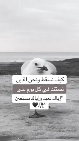 #حفيد_العجوز🖤🖤 