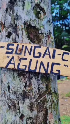 Wisata Alam🏊                               #CapCut #fypシ゚ #bangkuyungcikeudalpandeglang