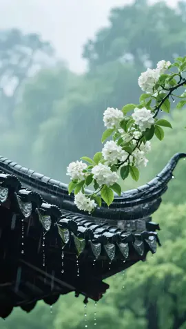 Tình ta như gió theo mây. Mềm như cánh mỏng, đậm đầy tâm tư. #xoaiuc #suyngam  #tinhyeu #canhdep #phongcanhtrunghoa #china #trunghoa #foryou #fypシ