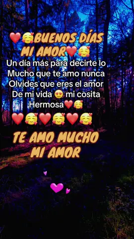 #feliz día mi amor🥰te amo🥰❤️🫂#amor #viral #paratii #fy #buenosdias #miamor #frases #letras #bonitas #dedicar #parejas #novias #tiktokviral  #fyppppppppppppppppppppp #fyppp #letrasbonitas #usa🇺🇸 