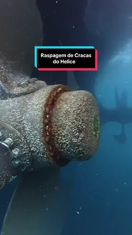 Raspagem de Cracas do Hélice. (Propeller Barnacle Removal) #workhard #dive #ship #hull #mergulho #buceo #propeller #maritime #trabalho #work #navio 