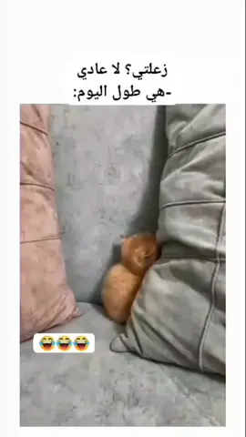 #مقموصه🖤✨ 