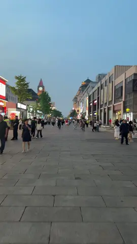 Walking around Beijing’s Wangfujing street #l