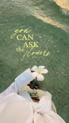 pretty little baby #CapCut #prettylittlebaby #lyrics #Vlog #Summer #cinematic #typography #capcut #capcutpioneer #pioneertemplate 