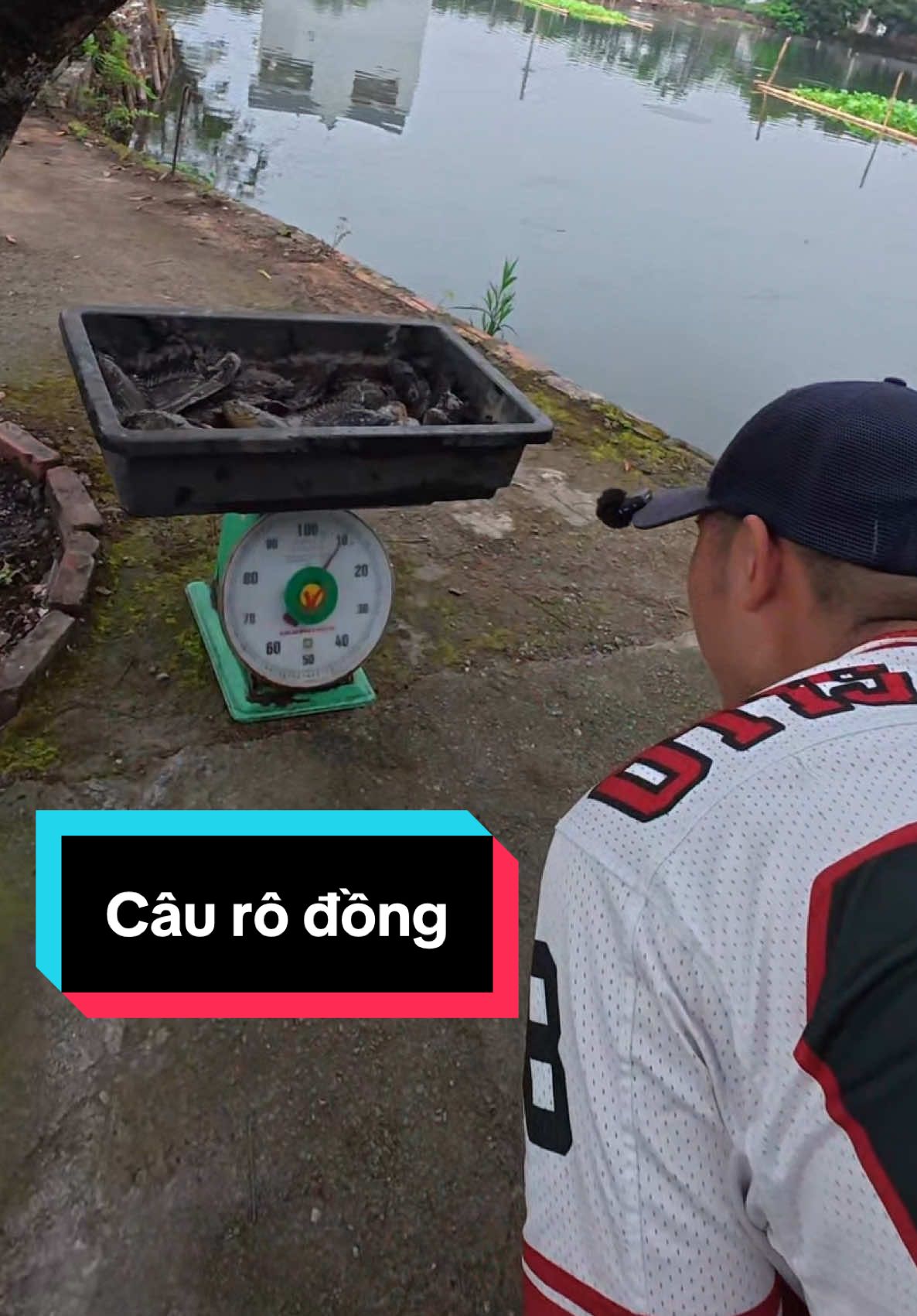 Phần 79: Trải nghiệm 1 buổi câu rô đồng khai trương liệu có về được bờ không 😊😊 #ngiencau #typ #xh #mồicâuphúthành #mồicâucárôđồng #caucagiaitri 