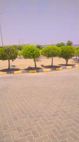 #dubai🇦🇪 