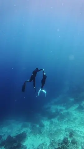 happy bgt bisa wujudin wishlist, freediving bareng suamiiiii #pulaukambing #freediving
