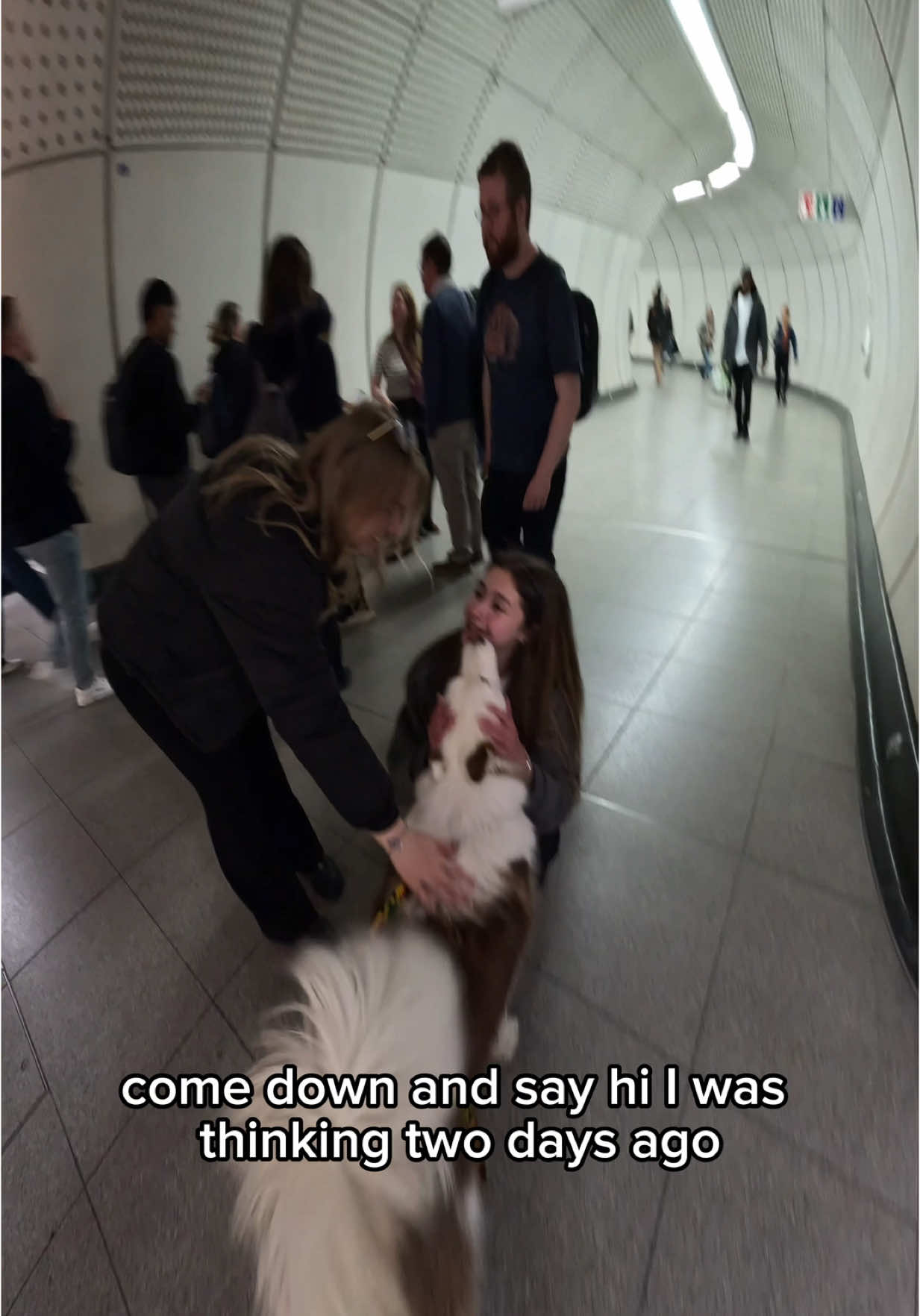 Interactions with my dog!!  #husky #viral #london #pets #fyp #foryou #doglover #viola #fyppp 