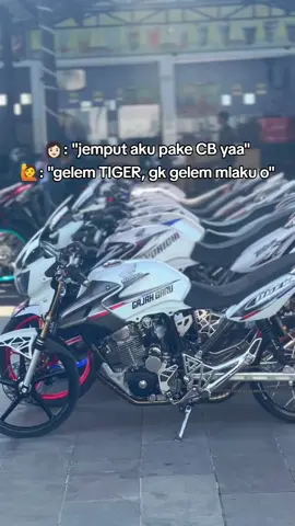seng gelem2 ae😎 #tigergajahbaru 
