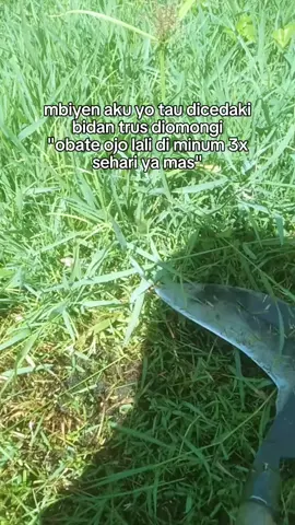 salam esrek