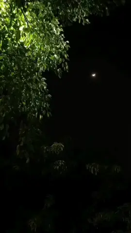 اكتب شيء تؤجر عليه ❤️😴 #قران_كريم 