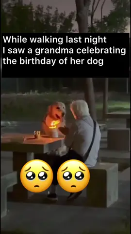 We don’t deserve them🥺 #fyp #for #dogsoftiktok #dog #dogs #Relationship #weloveyou #loveyou #lovedogs 