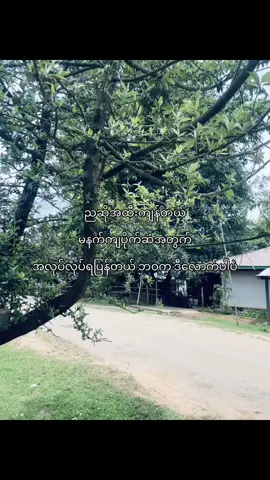 Crd