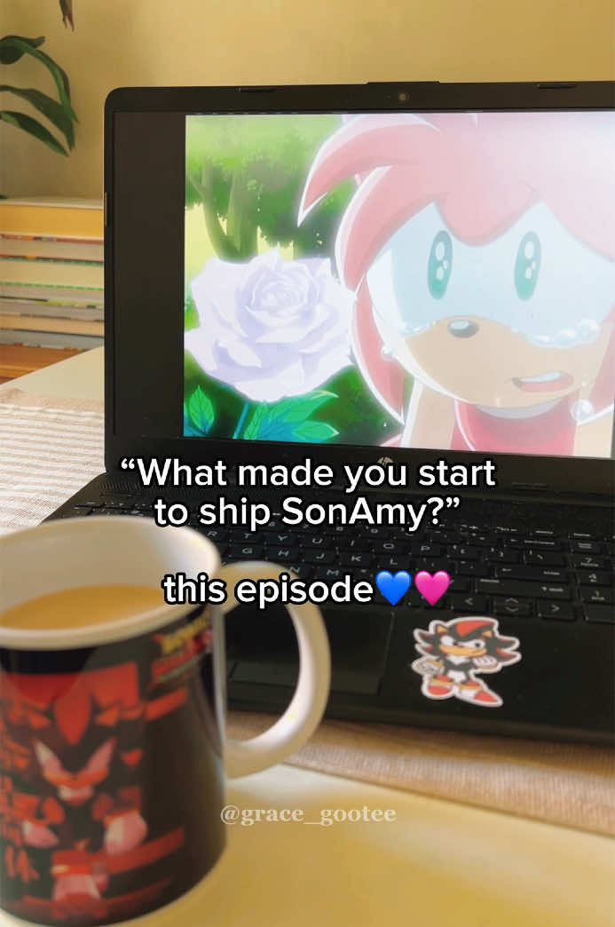 The episode that started my love for SonAmy!💙🩷 (I swear if Sonic gives Amy a rose and they end up as a couple in Sonic Movie 4, I’ll cry!!😭)