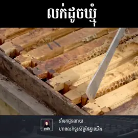 លក់ដូចសត្វឃ្មុំ  #Business #Cambodia #fypシ #Viral #fyp