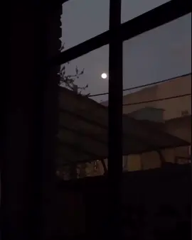 “Dünya bir ağacın kölgəsinə bənzəyir ki, orada yolçu dincəlsin...