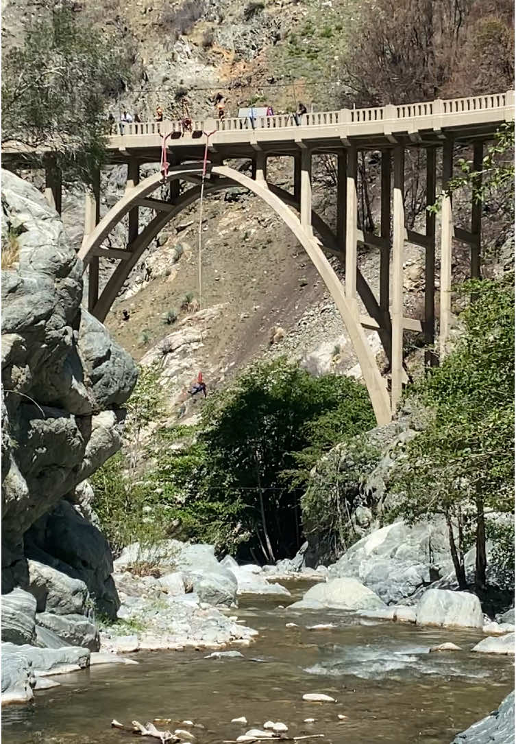 #bridgetonowhere 12 #miles #nature #fyp #Hiking 