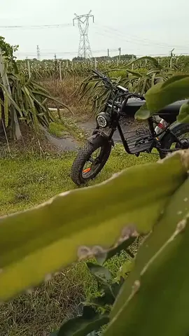 Affordable Electric bike for adults
