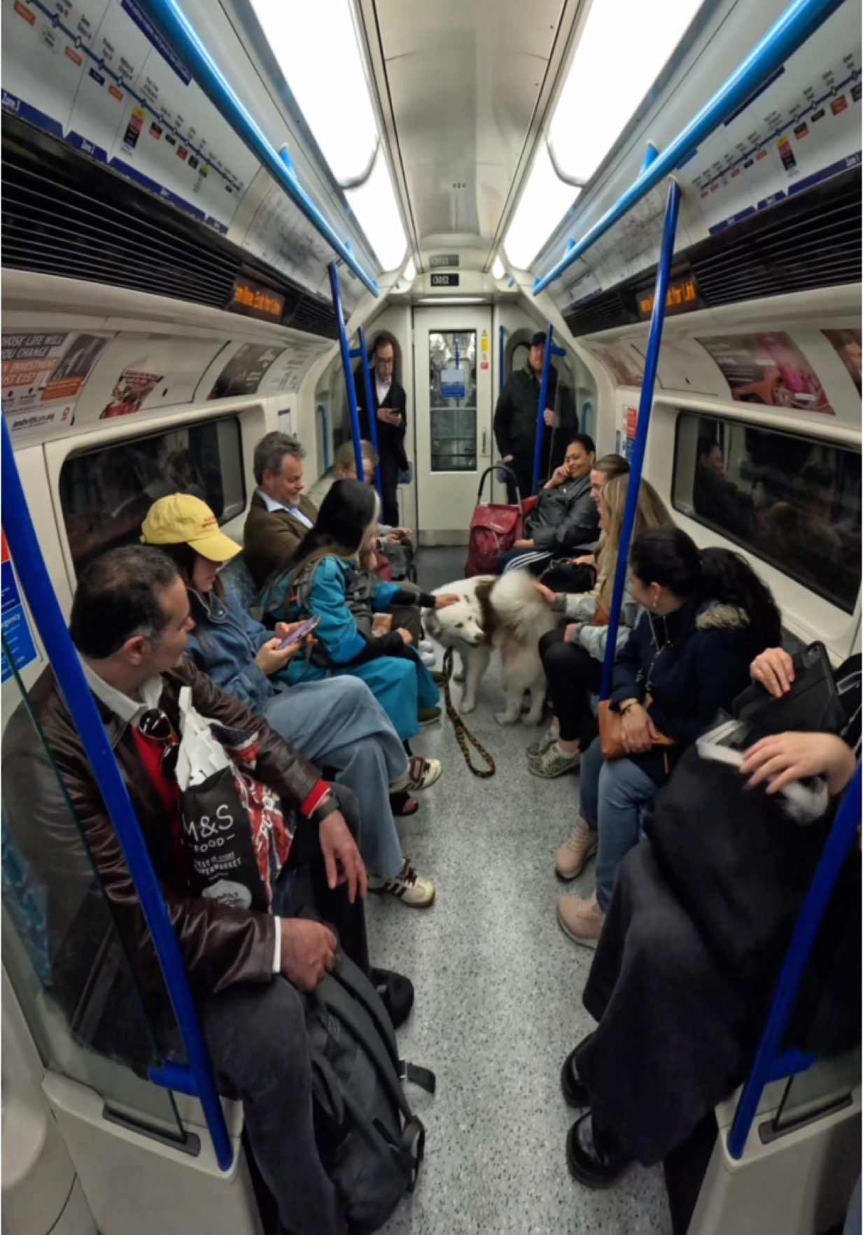 I took my dog to London!!  #husky #london #viral #trains #tube #fyp #foryou #foryoupage #doglover 