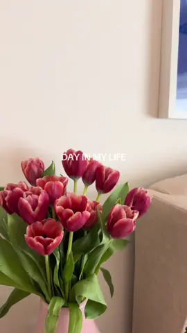 Day well spent #fyp #Lifestyle #miami #diml #dayinmylife #Vlog 