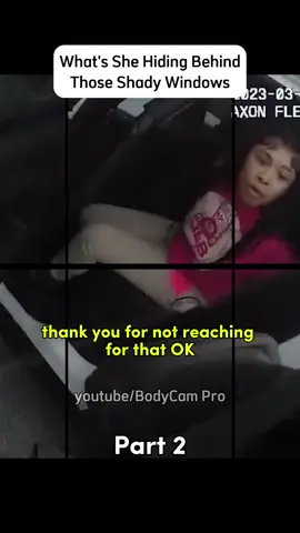 youtube/BodyCam Pro 2