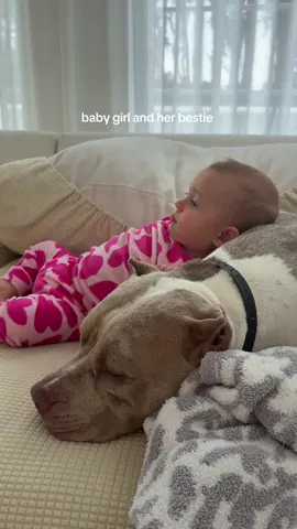 Taking this to show her how much she loved her dog #americanbully #americanxlbullies #pitbull #childhoodmemories #corememories 
