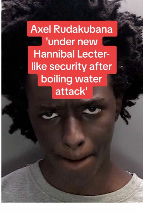 ⬆️ Click the link to read more about this story 