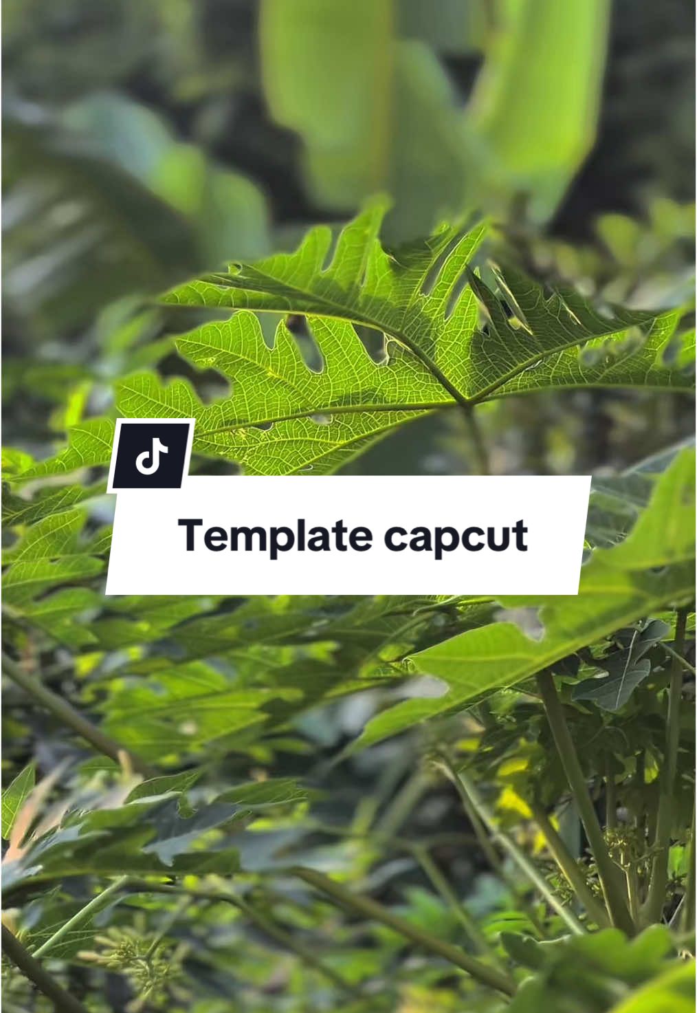 #CapCut 4 klip cinematicmu #jytemplate 
