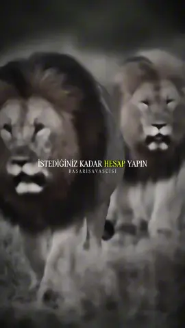 Daha fazlası için takip etmeyi unutmayın  #basari #lion #aslan #motivasyon 