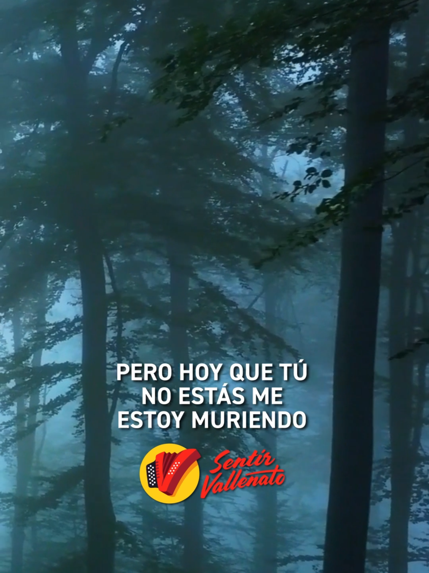 Los mejores clásicos del vallenato en un solo lugar Sentir Vallenato 🎶✨ #SentirVallenato #vallenatos #musica #vallenato #musically