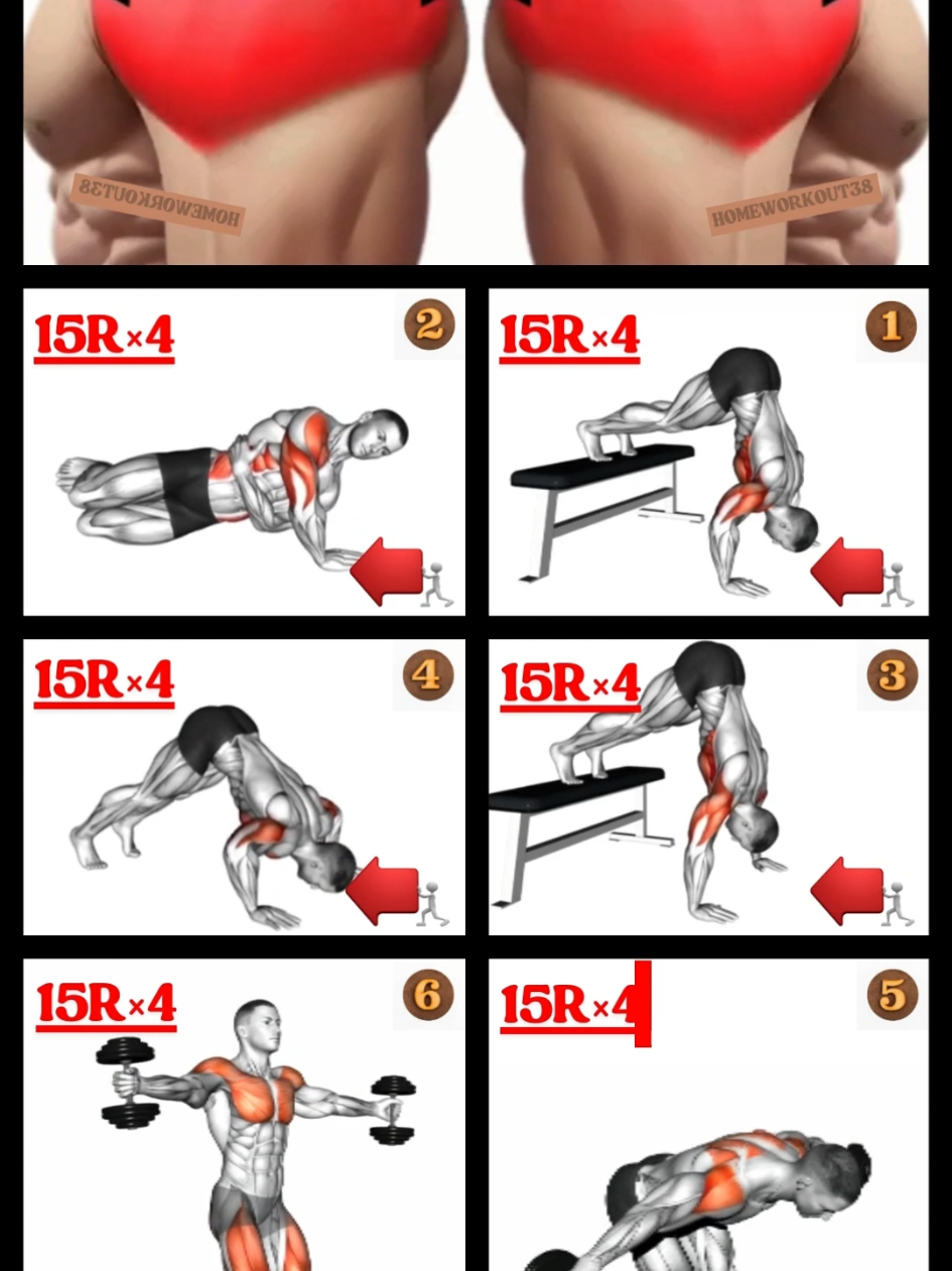 SHOULDERS WORKOUT AT HOME. #shoulderworkout #Workout #homeworkout #Fitness #sports #fyq @HOMEWORKOUT @HOMEWORKOUT @HOMEWORKOUT 