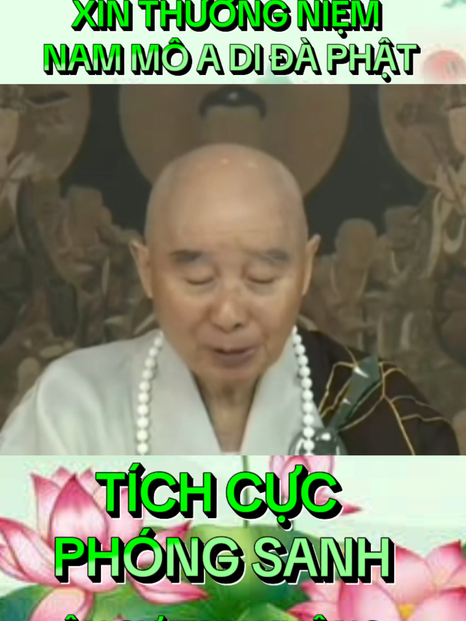 XIN THƯỜNG NIỆM NAM MÔ A DI ĐÀ PHẬT 🪷🪷🪷