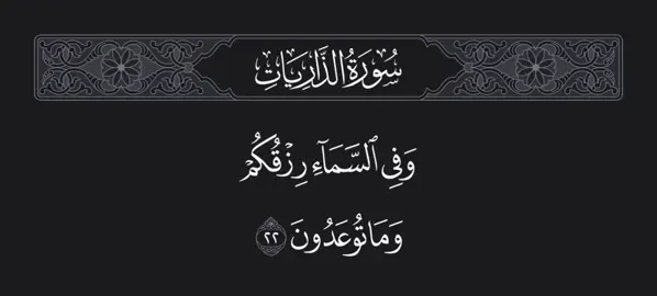﴿وَفِي السَّماءِ رِزقُكُم وَما توعَدونَ﴾      #قرآن_کریم #قرآن #islam #foryou 