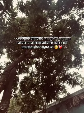 🥺❤️‍🩹 #foryou #viralvideo #foryoupage #fyp 