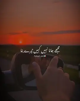 Mujy Jana Nhi Khi Tary Bina 🤎🍁🥹#foruyou #foryoupagе #tranding #aestheticvideos #lyric #vibes #standwithkasmir #whatsappstatus #growmyaccount 