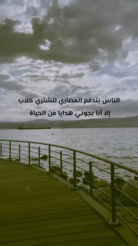 الناس بتدفع المصاري لتشتري كلاب إلا أنا بجوني هدايا من الحياة  #مبعثر١٩٩٠🎶 #وبس_والله🤞🏻  #مجرد________ذووووووق🎶🎵🤞🏻 #مجرد________ذووووووق🎶🎵🤞🏻 #مجرد________ذووووووق🎶🎵🤞🏻 #مجرد________ذووووووق🎶🎵🤞🏻 #hkmat_mhmd 