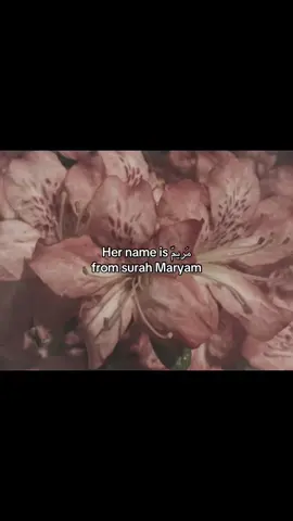 Her name is مريم | Maryam🧡 #سورة_مريم #quran #islamicvideo #مريم 