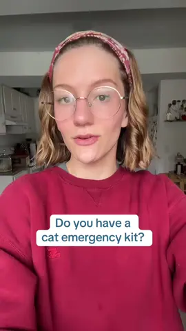 *Repost* this information is just so important I wanted to share it again!  #cats #catsoftiktok #cathelp #catadvice #cpr #catemergency #catemergencykit #catnutrition #cattips #pettips #kittenhelp #kittenadvice 