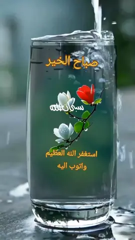 دعاء  #دعاء #قرآن #ذكر_الله #القران_الكريم #ذكر #دعاء #قران_كريم #تسبيح #استغفار #الصلاة_على_النبي #اكسبلور  #aleisaei_1  #اكسبلور  #CapCut  #اكسبلور 