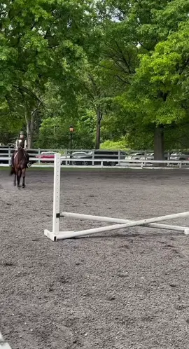 Lowkey hate this but I’ll post it anyways #fypppppppp #foryoupage❤️❤️ #fypシ゚viral🖤tiktok #fypppppppppppppp #fypシ゚viral🖤tiktok #fypppppppppppppp #ottb #foryoupage #horsesoftiktok 