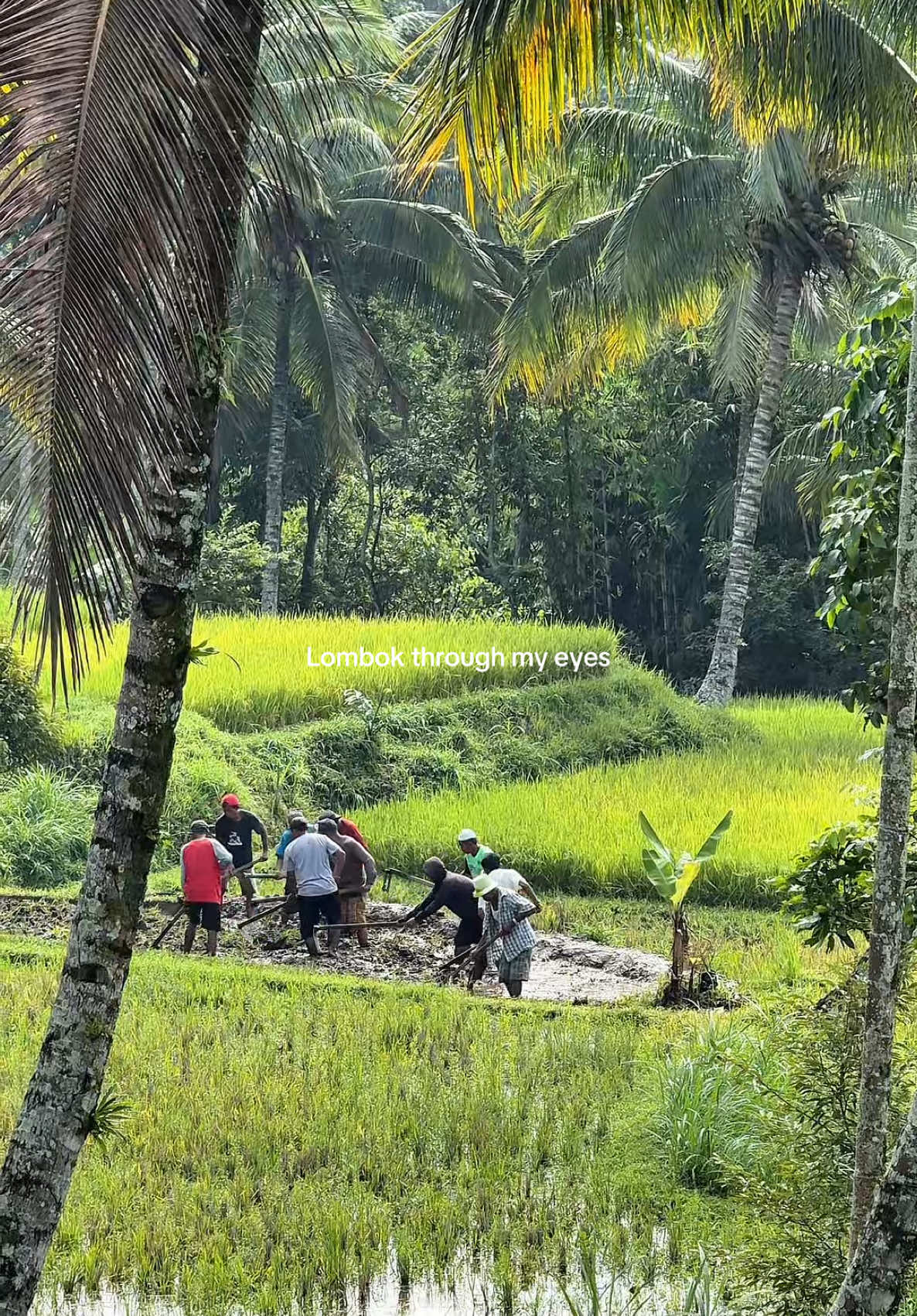 <3 #indonesia #lombok #traveltiktok #backpacking #travel 