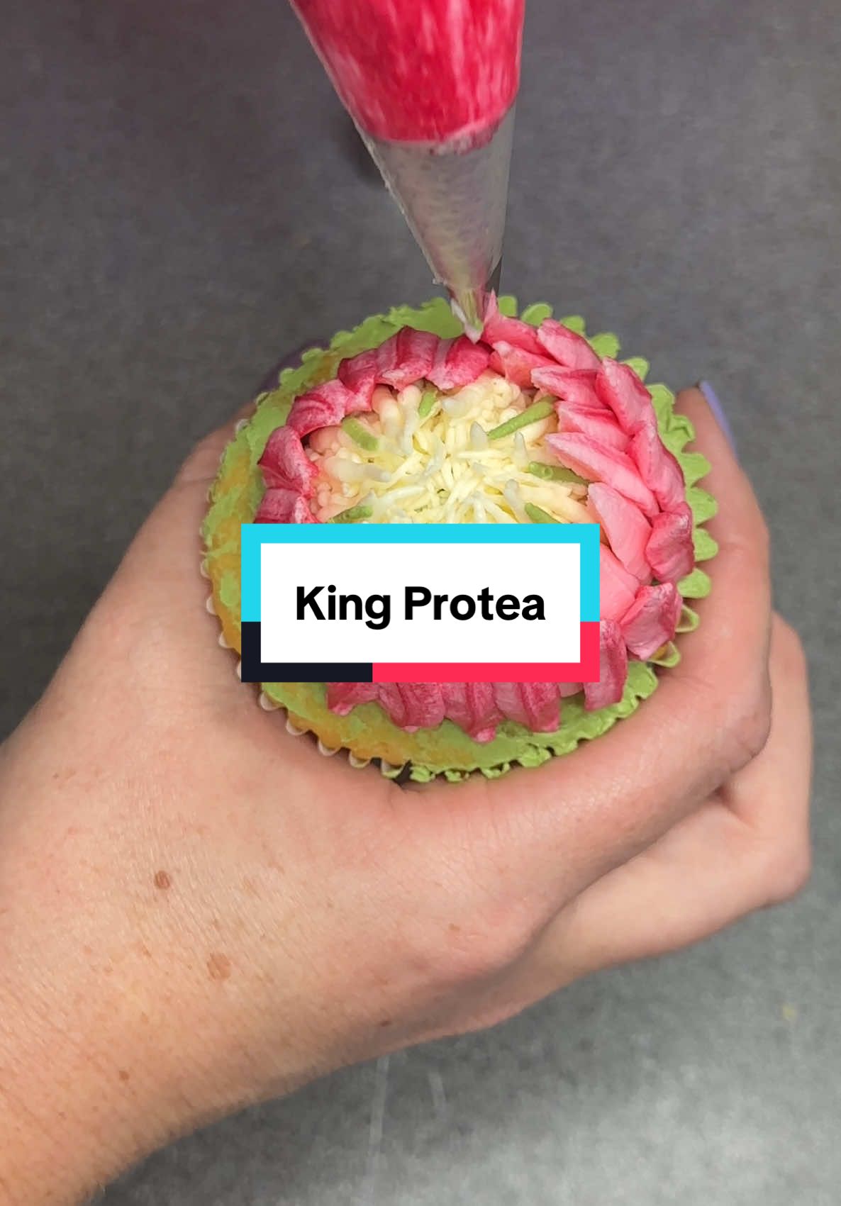 One of the most beautiful buttercream flowers, the King Protea. This flower takes a little longer and most others, but the effort is worth it.  This buttercream flower is an absolute show stopper and is such a beautiful creation.  They look amazing in a cupcake bouquet.  Nozzle details and what the look like are in the video. Let me know if you try this.  #buttercreamflowers #creatorsearchinsights #kingprotea  #baking #buttercream #cakeart #cupcakes #flowercupcaketutorial #floralcupcakes #flowercupcakes #pipingskills #cupcakeart #debbiebakes   