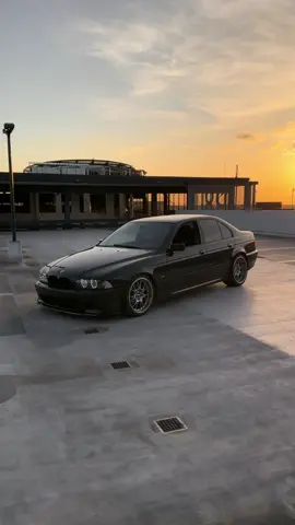 All that she wants 🖤 #bmw #cartok #fyp #e39 #cartiktok 