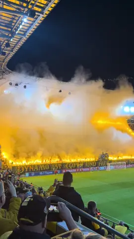 Das ist Dynamo 🖤💛 #dresden #niemehr3liga #dynamo #dynamodresden #sgd #dresdencity #altstadt #fußball #bundesliga #Soccer #fans #forzadynamo #hool