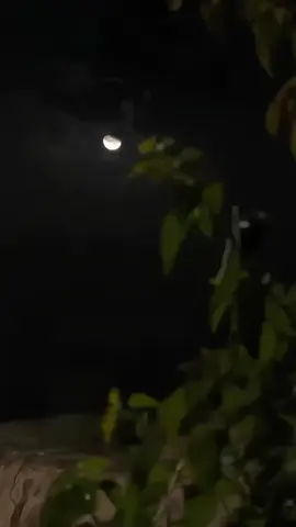 رعى الله صدورٍ محدٍ يدري بخافيها.. 