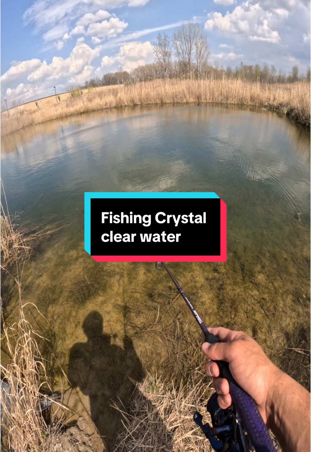 Fishing crystal clear pond #bass  #bassfishing #fish 