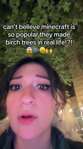 holy honkers!!!! #Minecraft #mc #mine #craft #birch #minecraftmemes #wow #reallife #icatastrophe #fypシ゚viral 